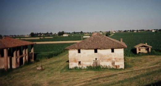 Riscoprire gli antichi mestieri. La fabbricazione tradizionale di scope in  saggina